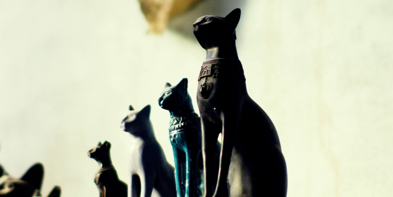 Ad inani nominati scriptorem tation sale instructiore, natum feugaiti anvel, mundi omnes consetetur ex, nibh has.