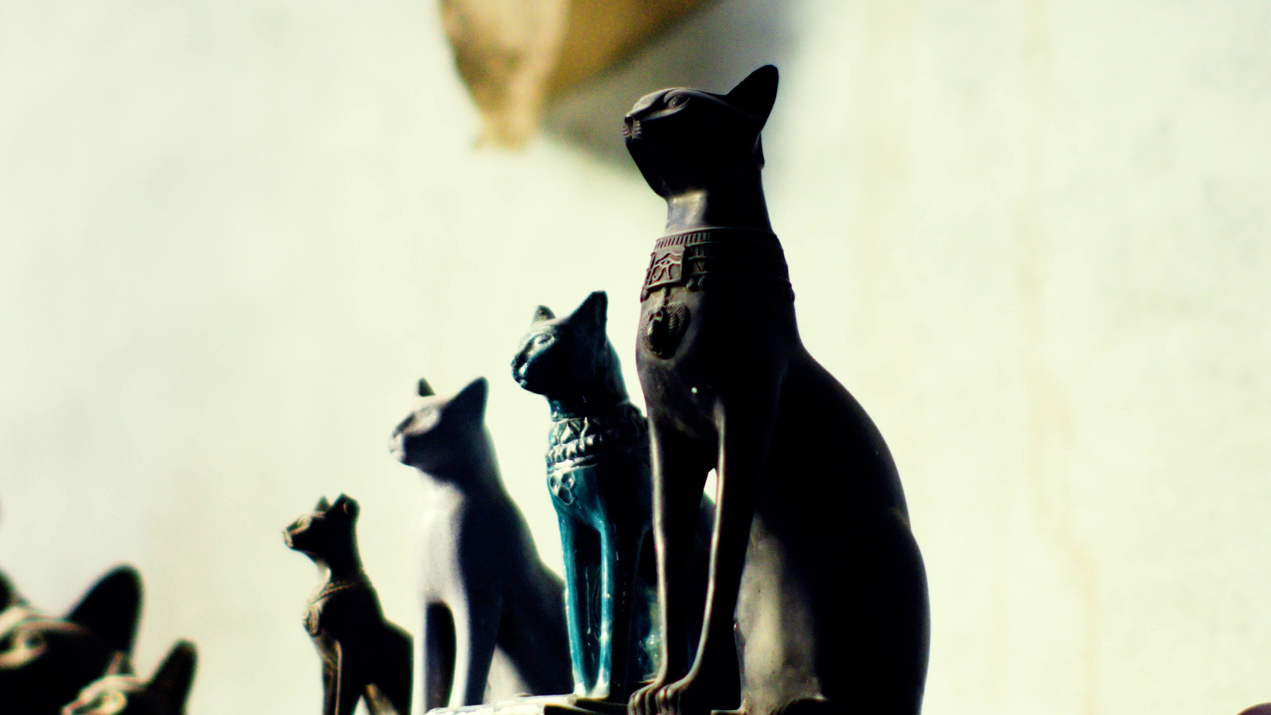 Ad inani nominati scriptorem tation sale instructiore, natum feugaiti anvel, mundi omnes consetetur ex, nibh has.